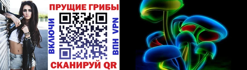 Псилоцибиновые грибы MAGIC MUSHROOMS Красногорск